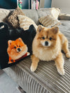 Gepersonaliseerde TotePet - Big Shopper 5