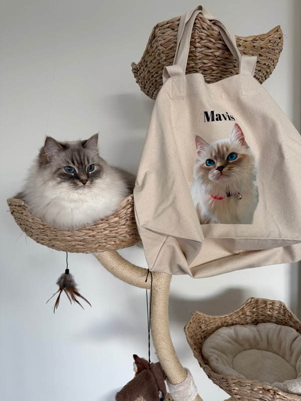 Mavis