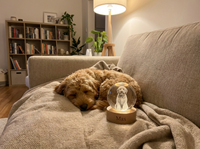 PetGlow - Jouw huisdier vereeuwigd in kristal