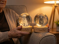 PetGlow - Jouw huisdier vereeuwigd in kristal